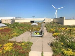 AQUALIS' Chicago Roof-Top Pollinator Gardens - AQUALIS