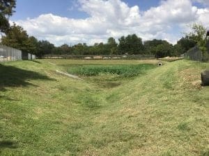 Texas Stormwater Scorecards - AQUALIS