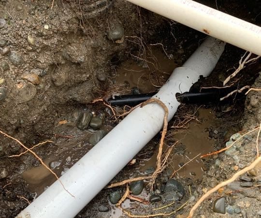 Fiber Optic Puncture