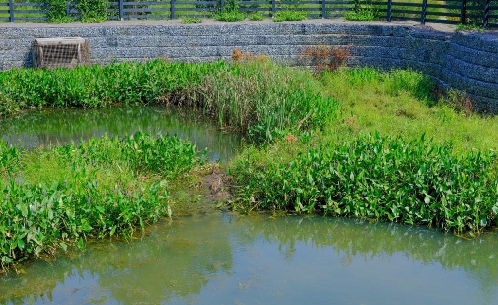 Stormwater Retrofit