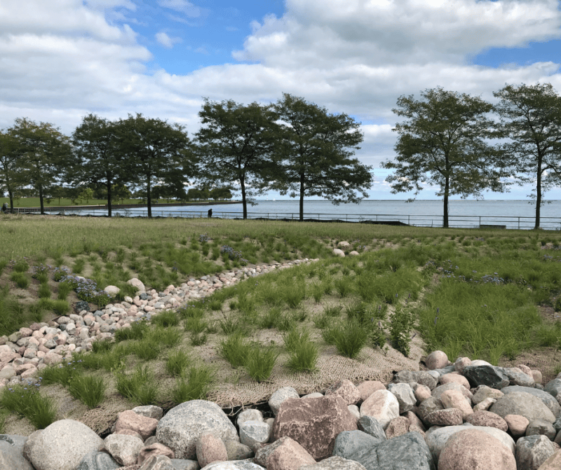 rocks lined up beside a lake