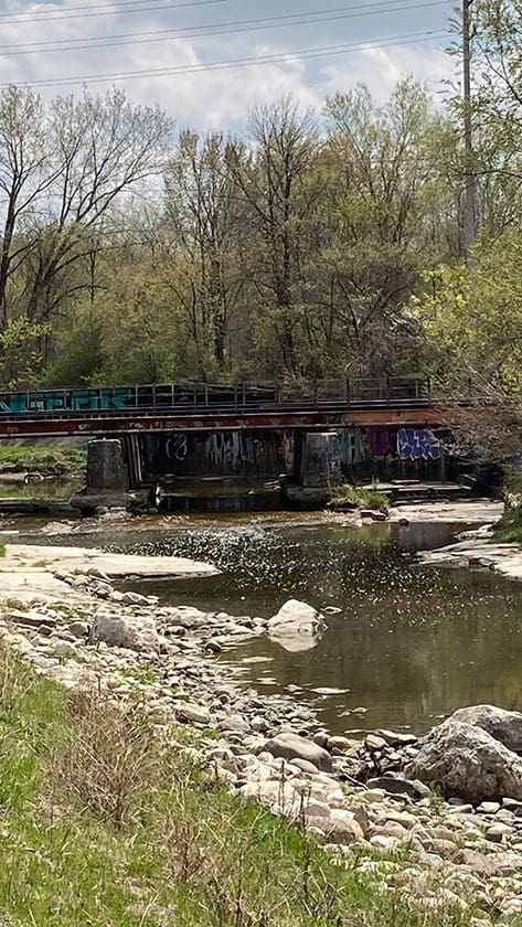 creek underneath a bridge