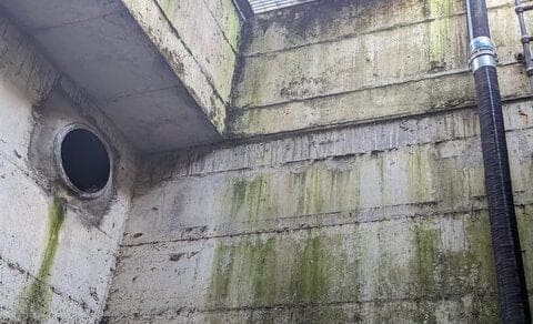 PXL_20230225_000802983_1_480x480