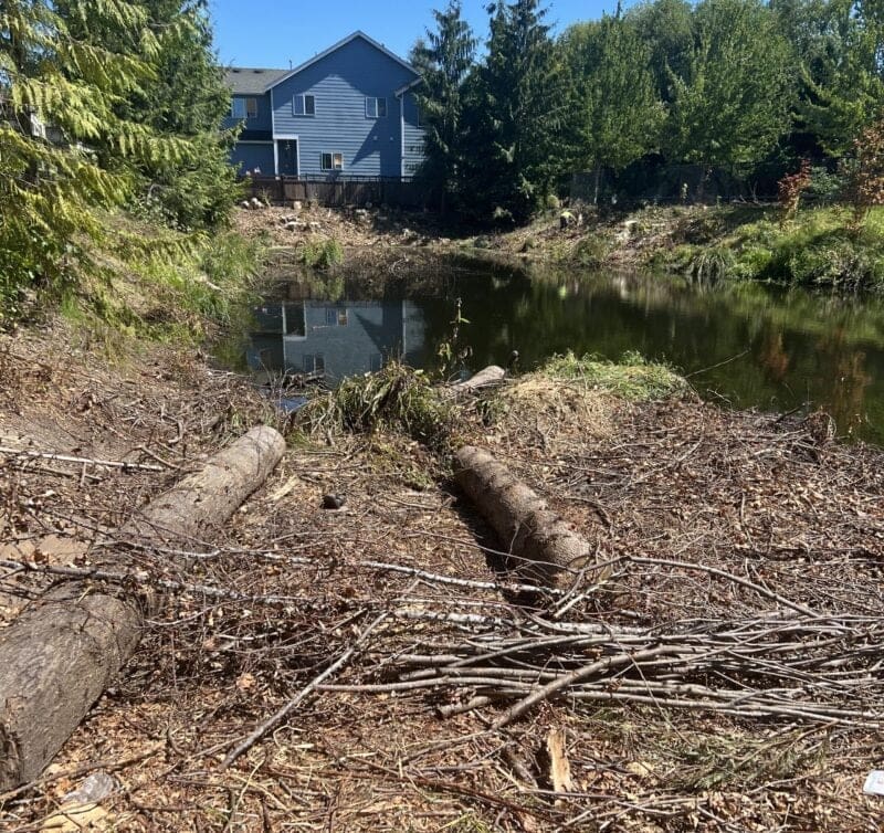 rehabilitation of stormwater ponds