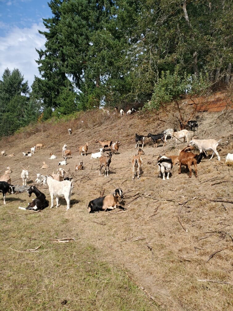 Photo Sep 11, 15 15 40