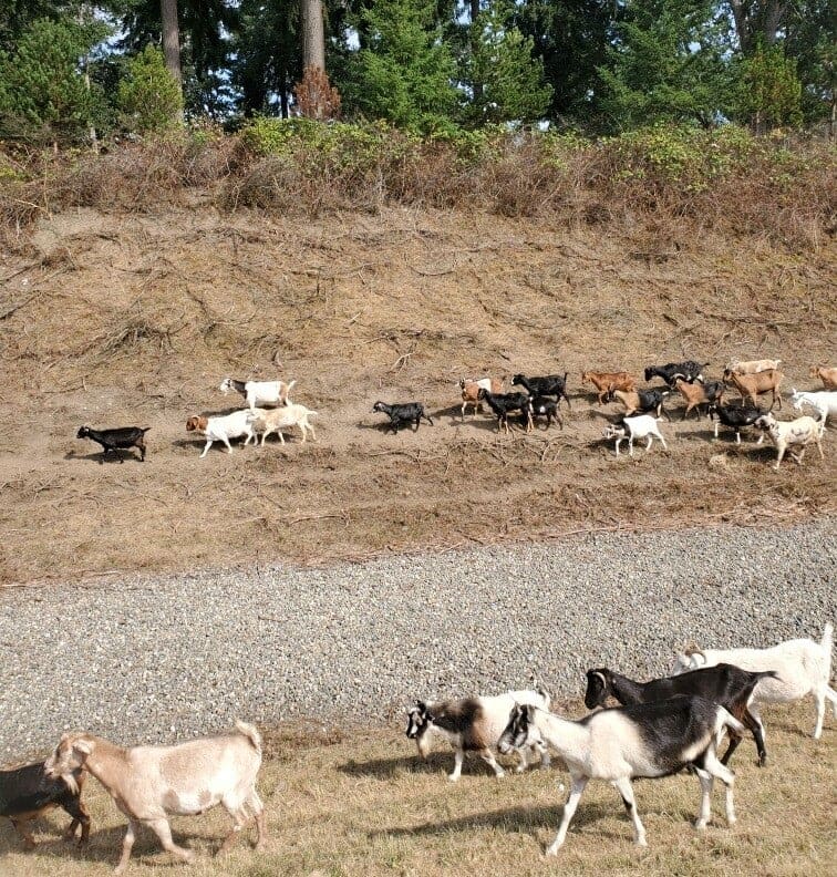 Photo Sep 11, 15 15 43