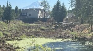 Retention pond covered in algae surrounded by downed trees with a house and Mt Rainer in the background