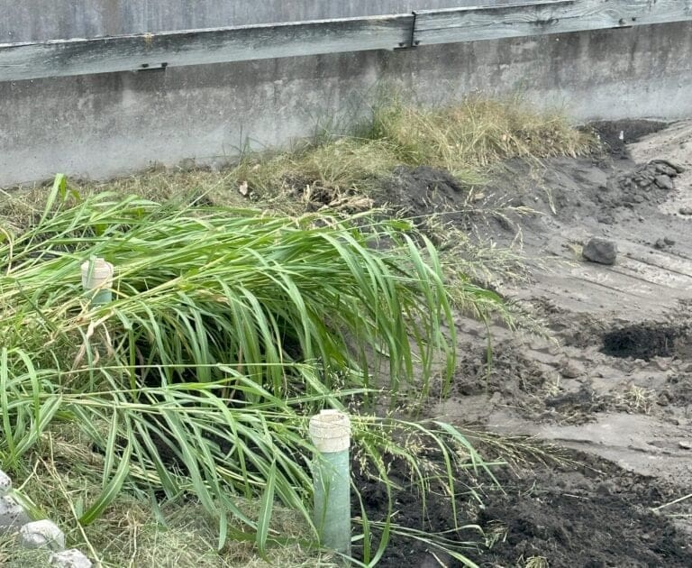 57773656-0D2A-46A2-8D4B-1EE740D183ED