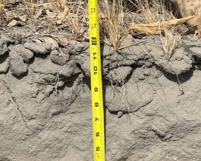 798F0D74-EEBA-4257-B861-93DBD578ACDC