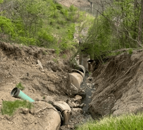 Screenshot 2024-03-13 131938