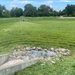 improve water quality