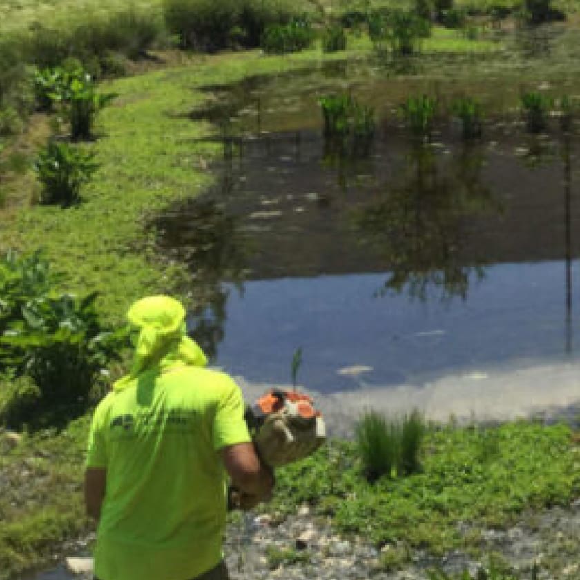 AQUALIS employee landscaping the shore of a pond