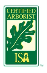 Certified Arborist Badge