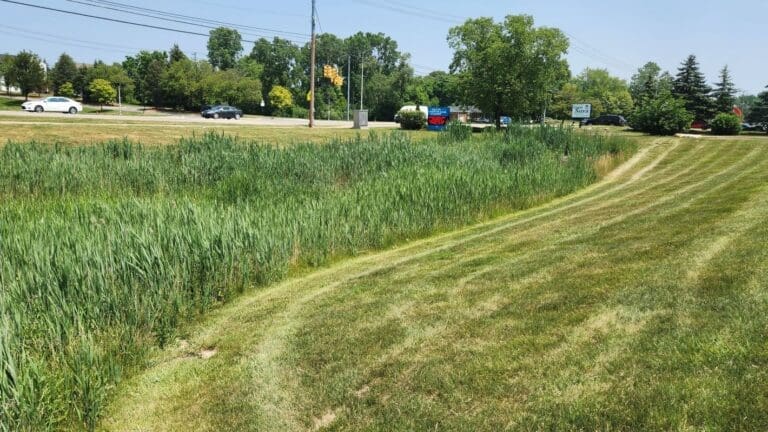 after picture of a detention pond after maintenance done by AQUALIS