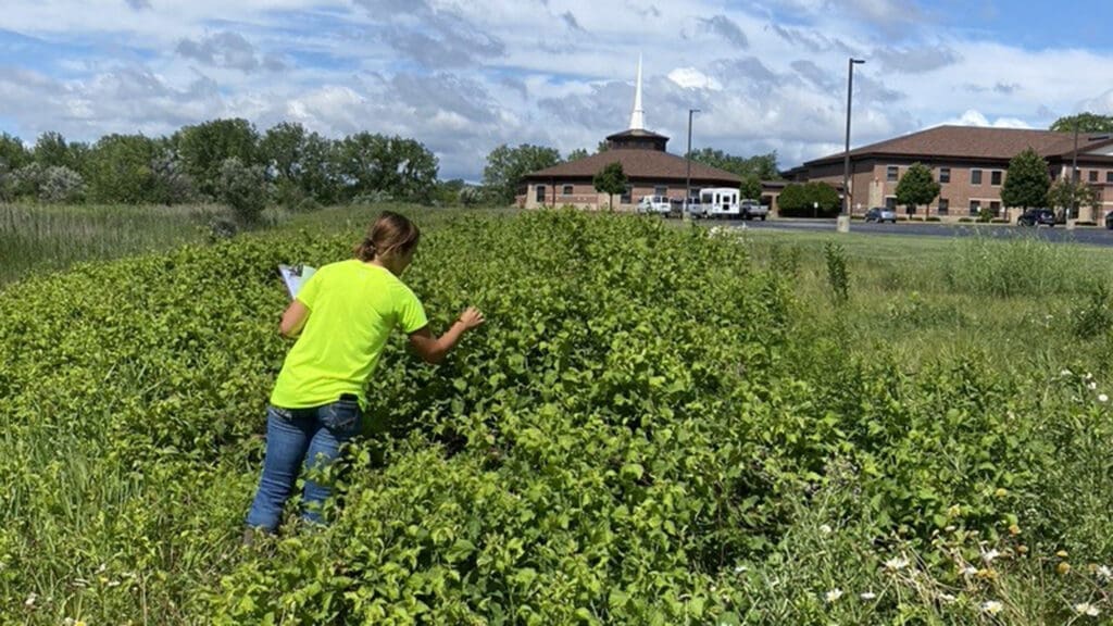 Inspection & Audit Support - AQUALIS