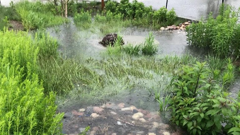 Hydraulic Dam Failure Analysis - AQUALIS