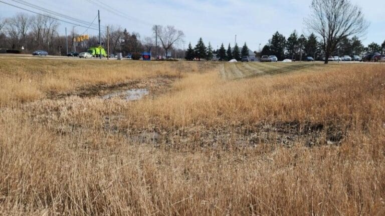 before image of a dry retention pond