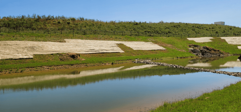 Pond-2-stablized-bare-areas