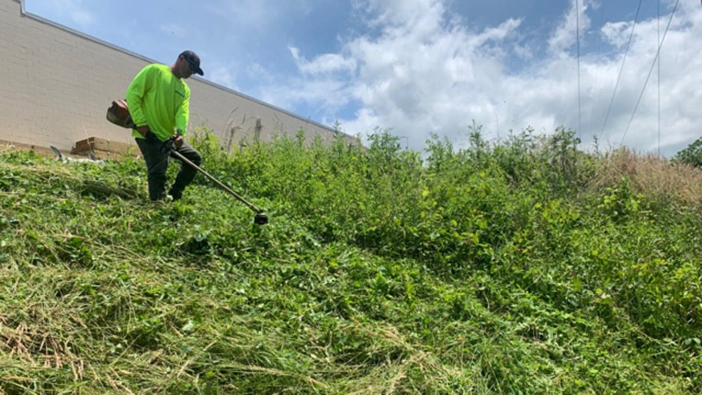 person using a weed-eater on some vegetation