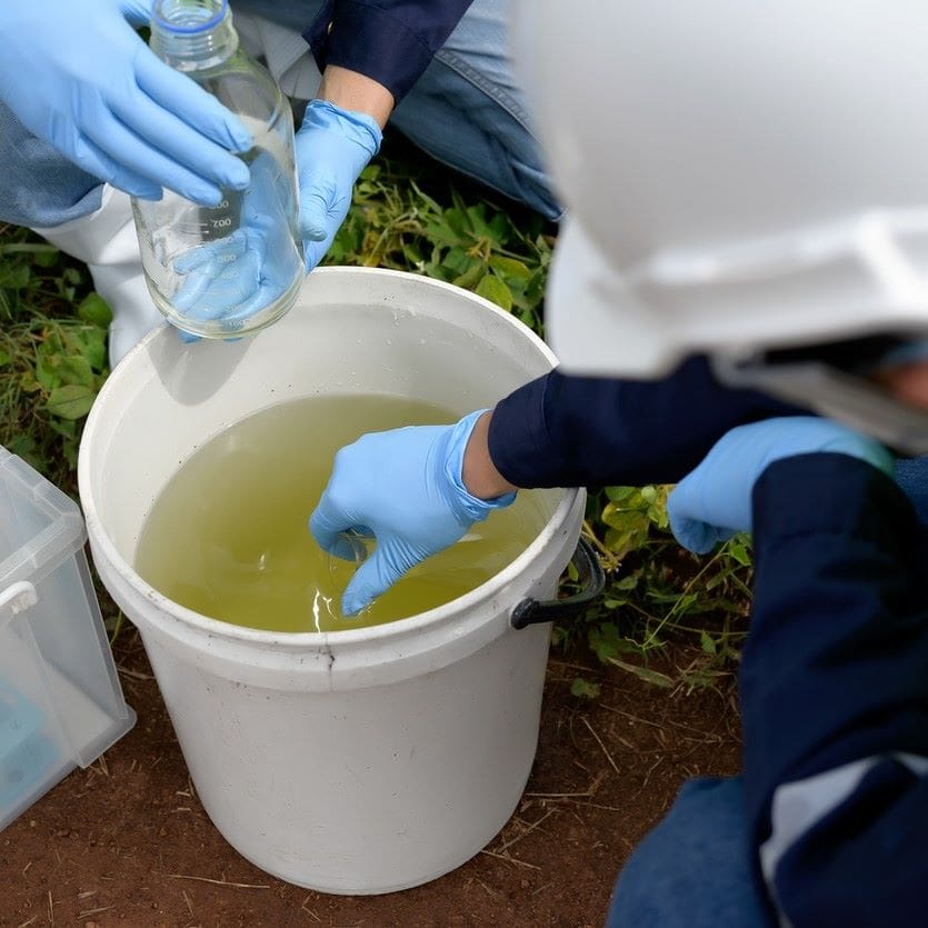 testing pond water in a bucket