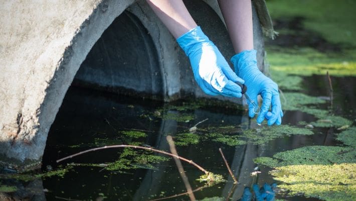 hands reaching into a pond to test water