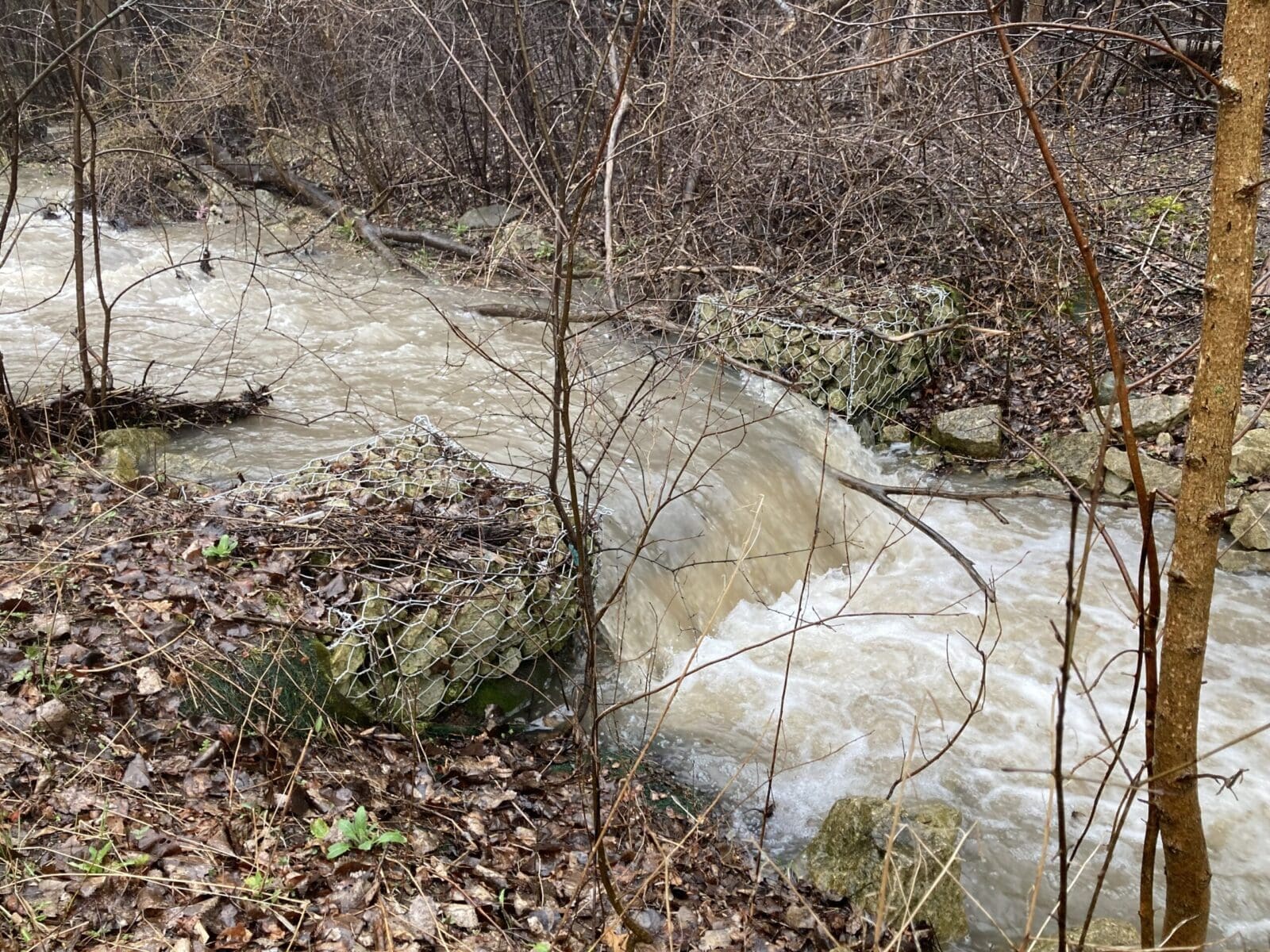 small waterfall in a creek