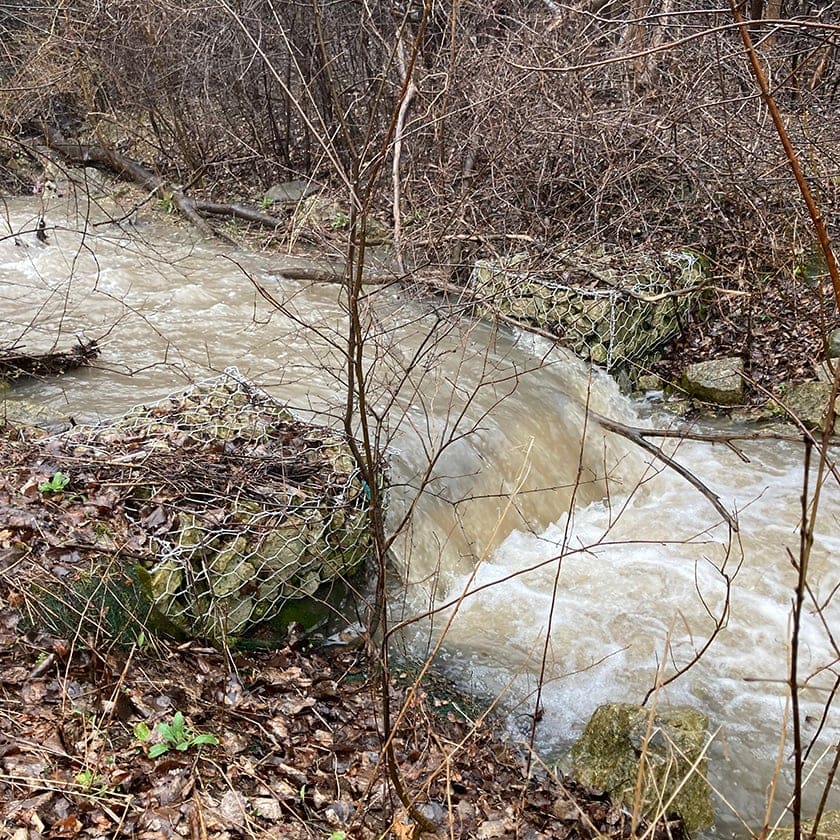stormwater runoff in a forest