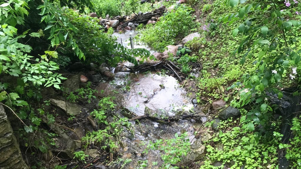 Water Management Services in Atlanta, GA - AQUALIS