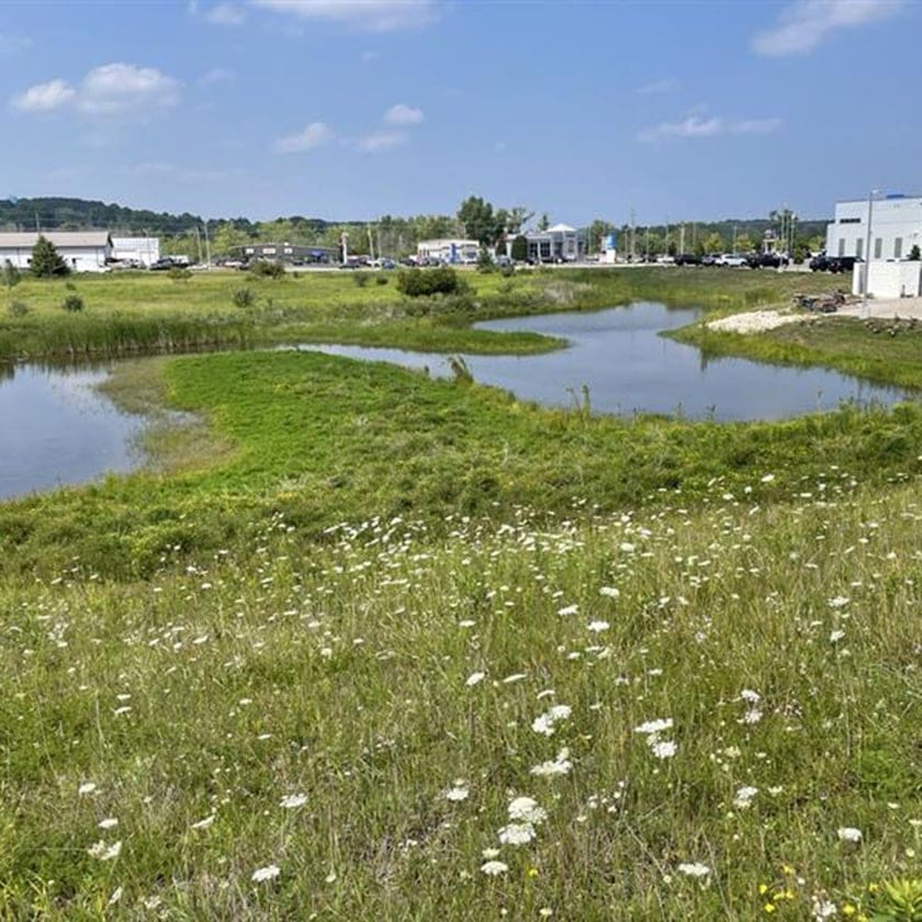 Wetland Permit - AQUALIS