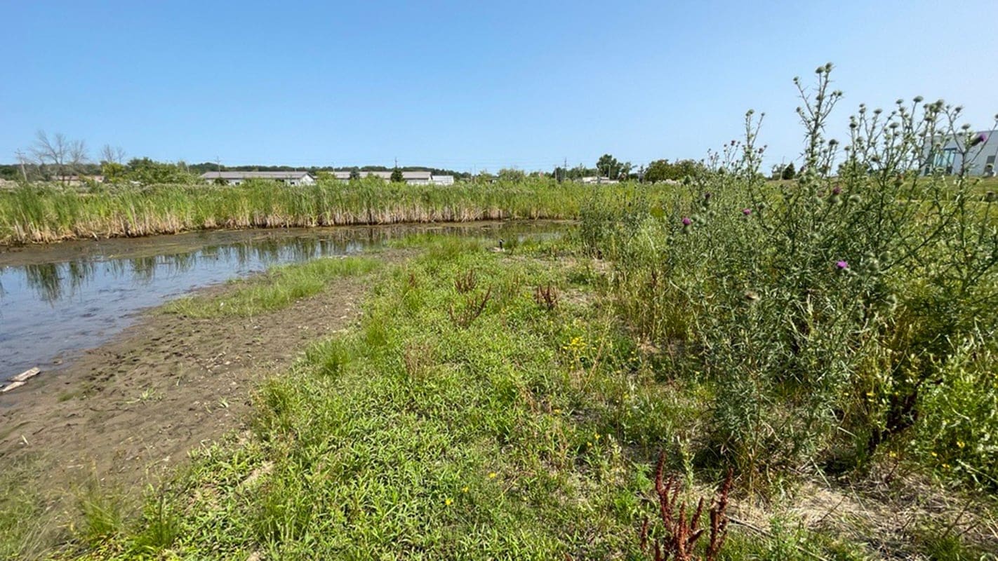 Wetland Permit - AQUALIS