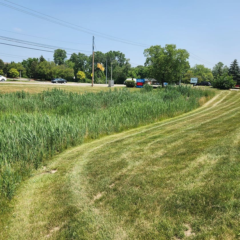 freshly mowed detention pond