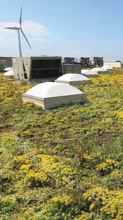 green roofs and a windmill