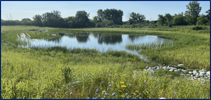 pond in a green pasture
