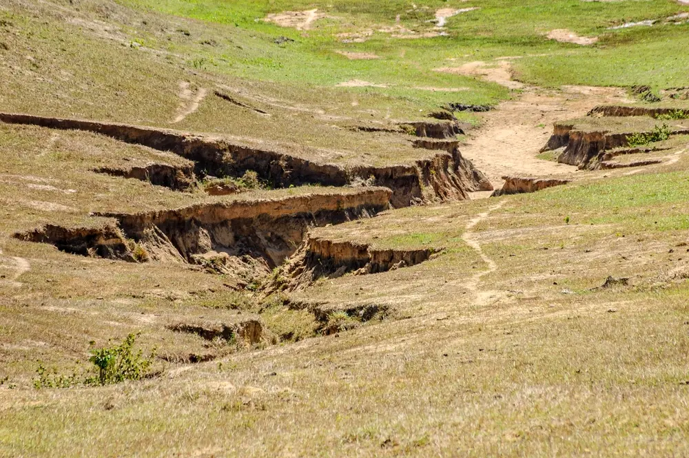 The Ultimate Guide to Soil Erosion: Causes, Types & Effective Control Solutions - AQUALIS gully erosion