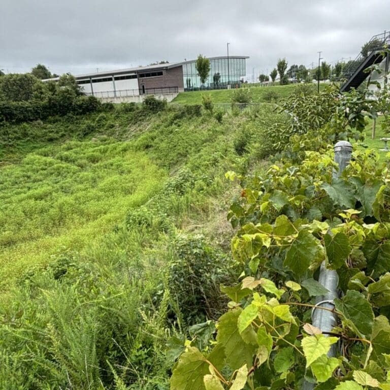 Photo Aug 07 2024, 10 40 25 AM