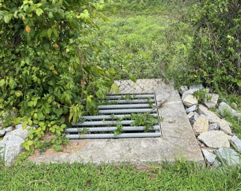 Photo Aug 07 2024, 10 41 48 AM