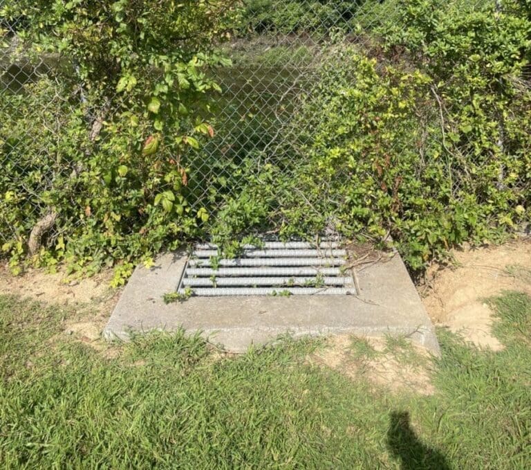 Photo Aug 21 2023, 10 15 35 AM