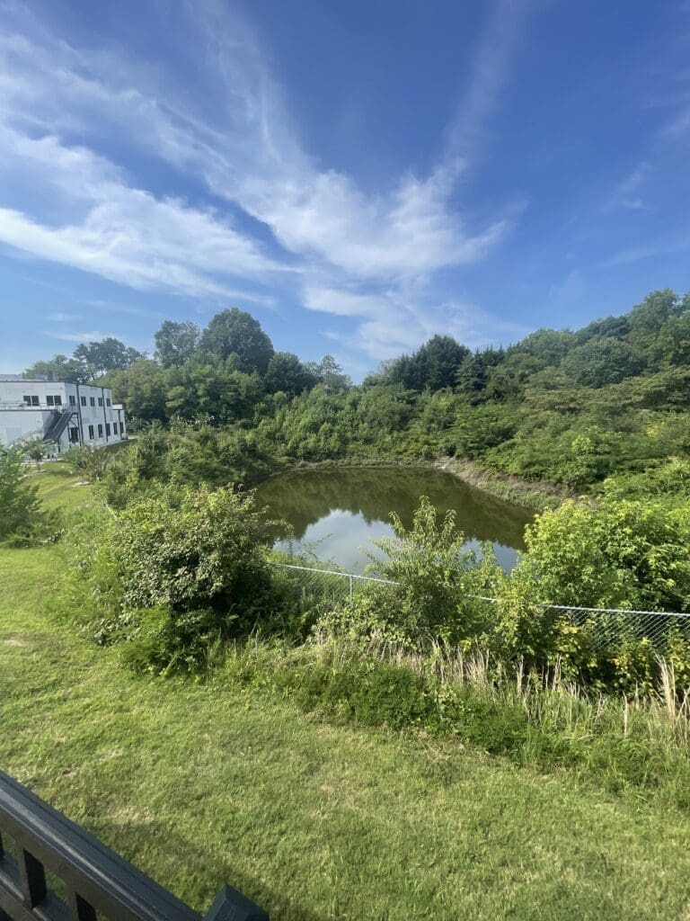 Photo Aug 21 2023, 10 25 11 AM