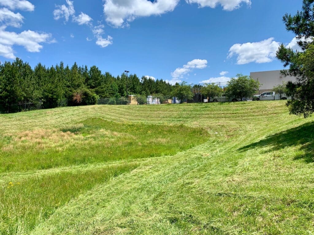 empty detention pond with a row of trees in the background