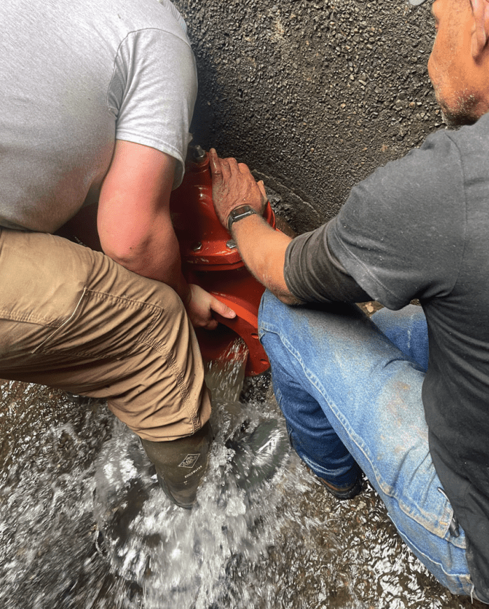 gate valve replacement