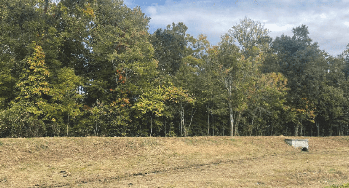 pond after stormwater repairs