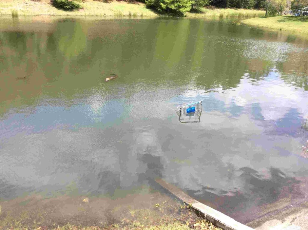 shopping cart in a pond