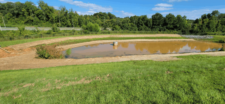 Pond 1 after