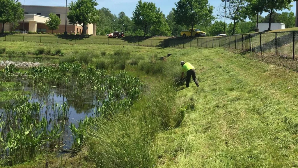 pond restoration