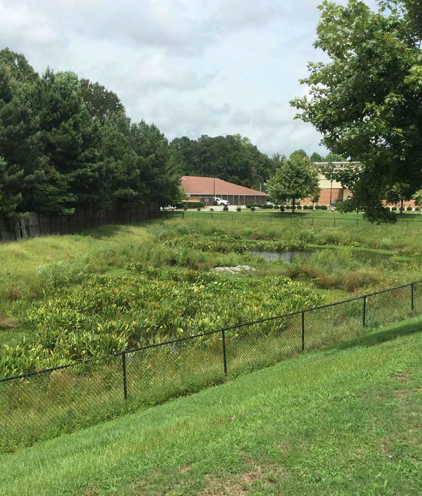Constructed Wetland