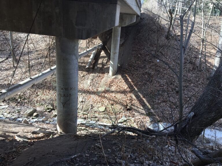 Bridge Before Construction