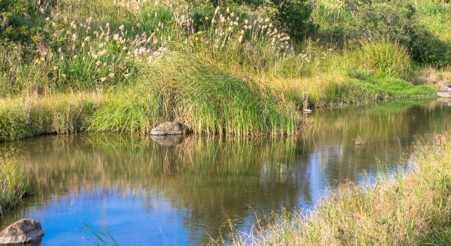 The natural landscape which can be seen at a suburb in Okinawa