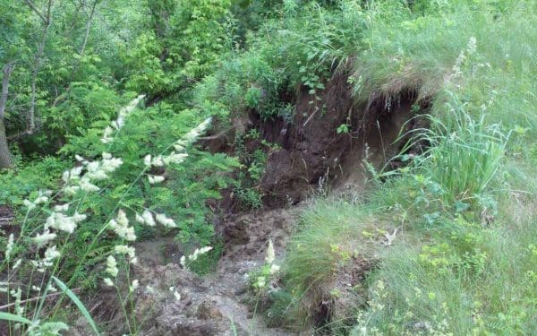 erosion from improper draining