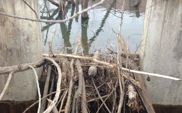outlet clogged with debris